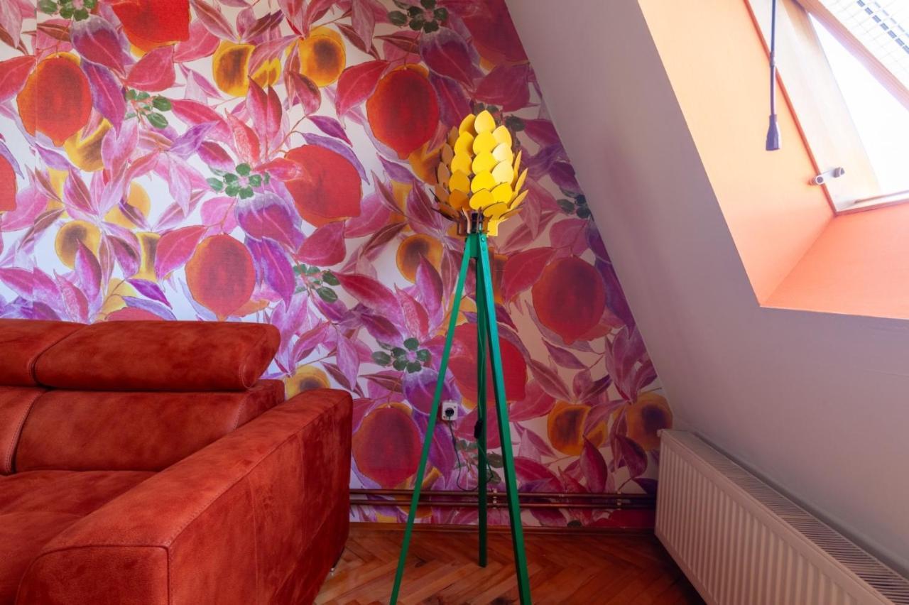 Apartment Amore Mio Golubac Extérieur photo