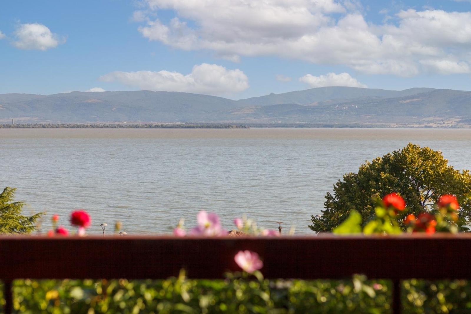 Apartment Amore Mio Golubac Extérieur photo